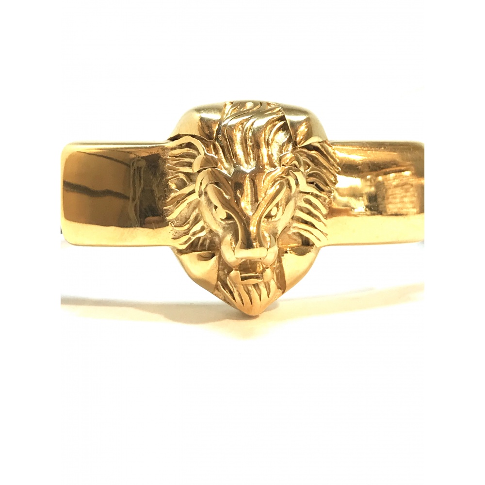 Bracelet Lion <br> Duo Rebelle (Cuir et Acier) main image 1